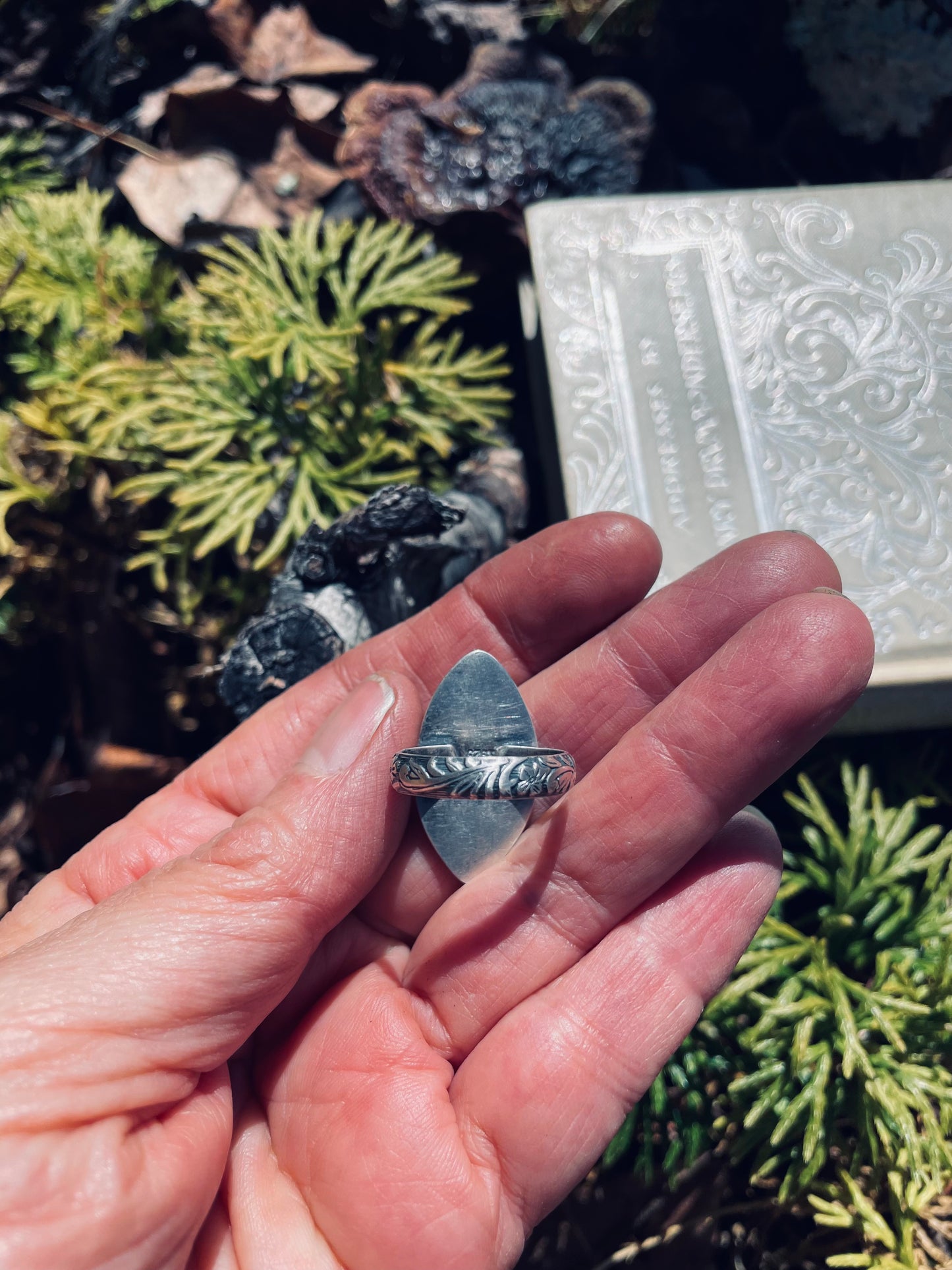 Scenic agate ring- size