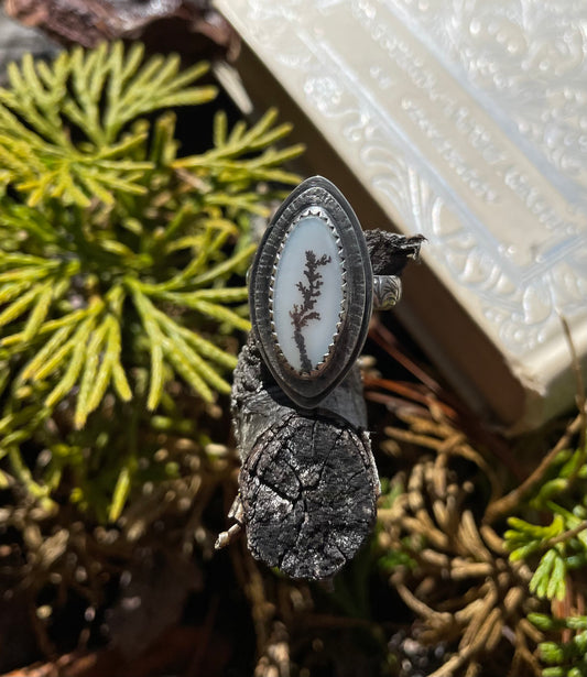 Scenic agate ring- size