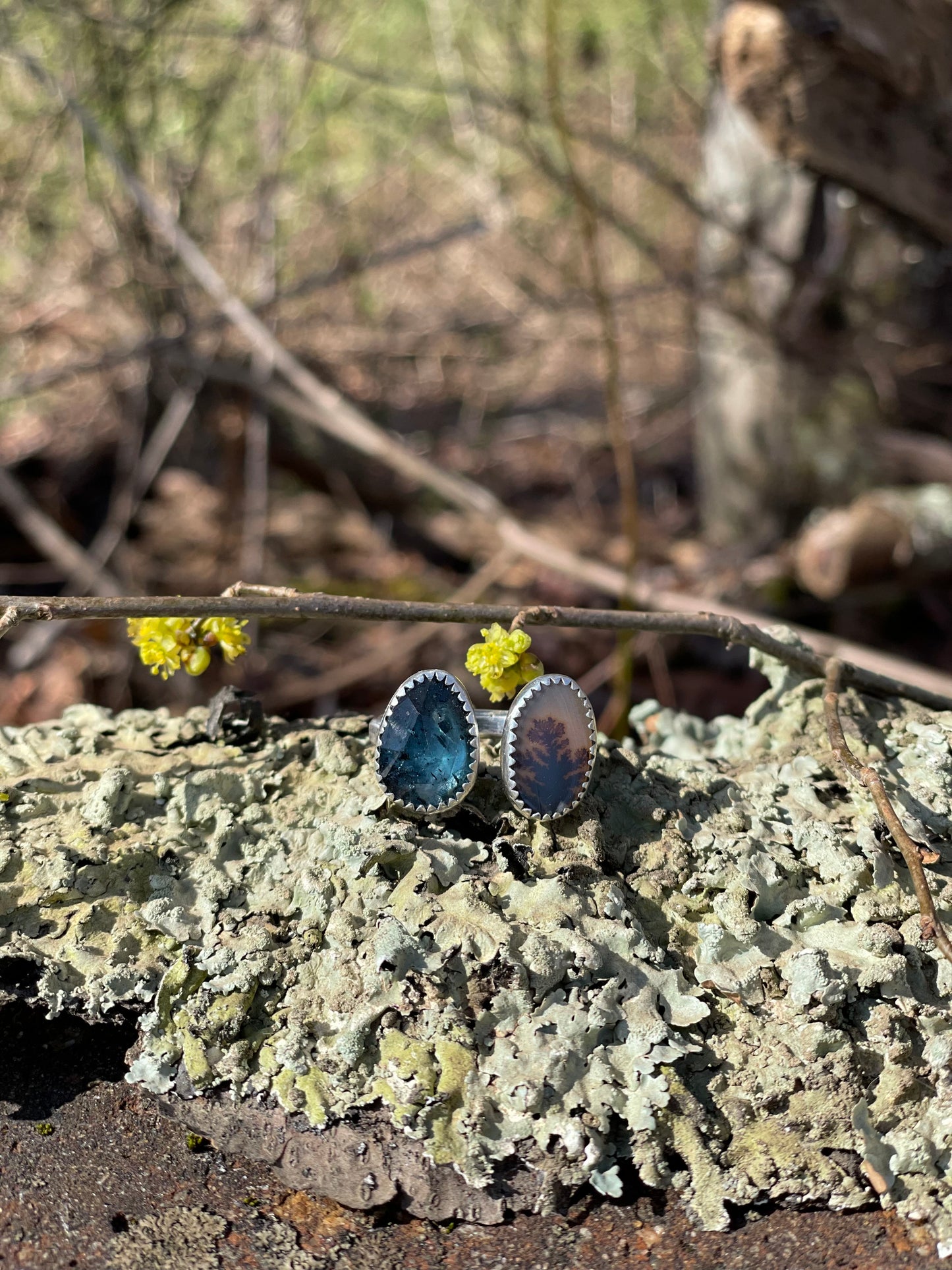 Teal Kyanite and scenic agate ring size 8