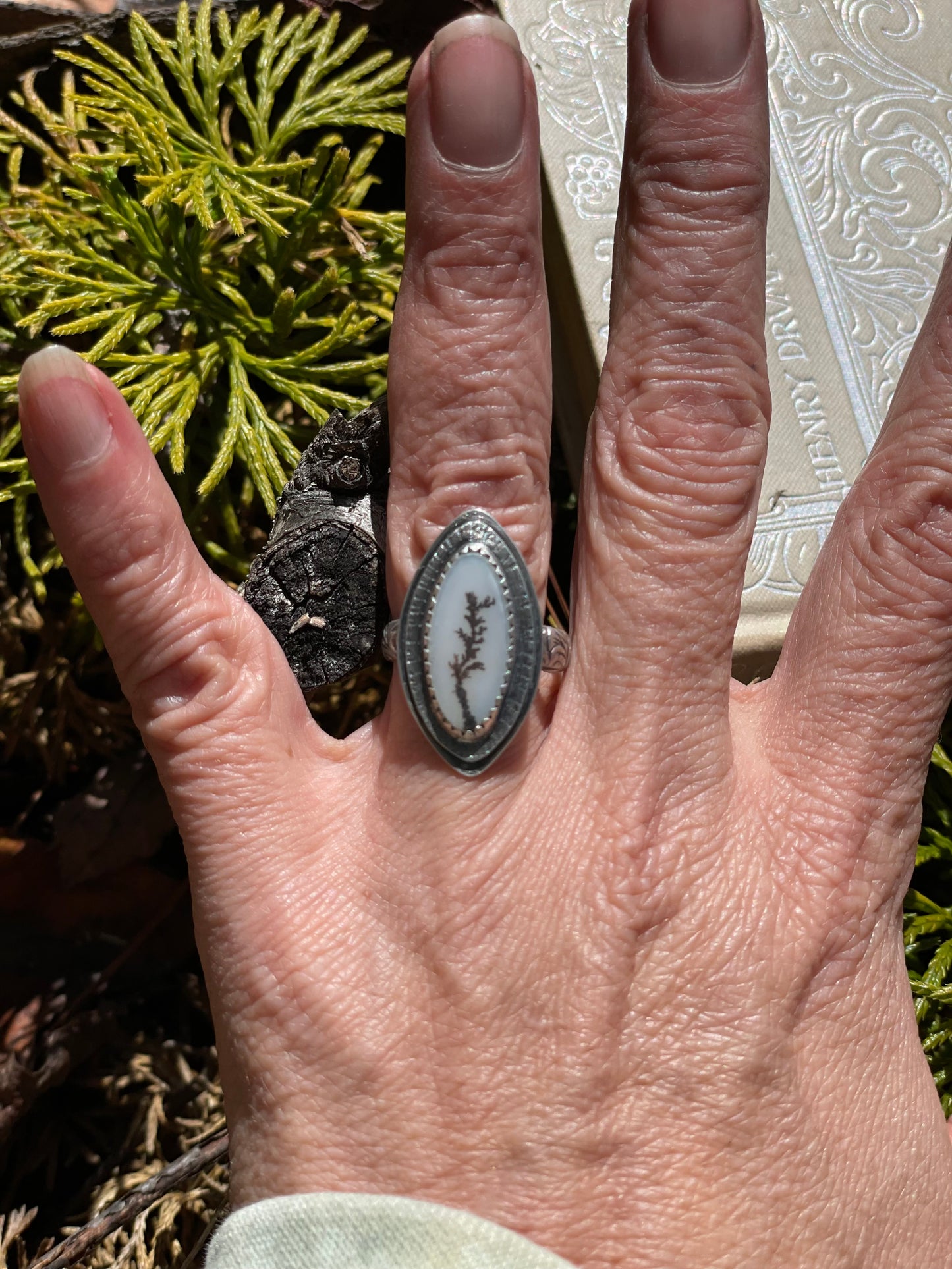 Scenic agate ring- size